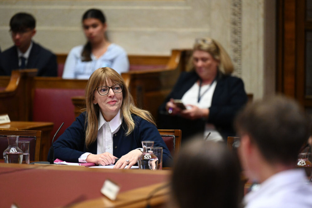 <p>Photo credit: NI Youth Assembly</p>