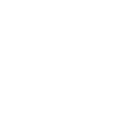Article 4 1
