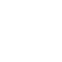 Reporting