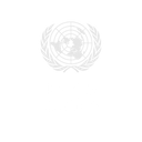 Treaty Bodies