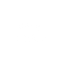 Other status