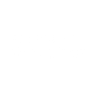 Political opinion